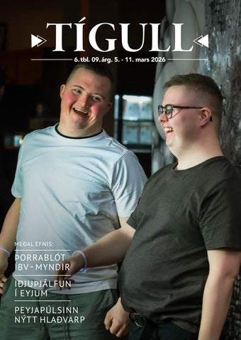 Tígull 06. tbl 08. árg.