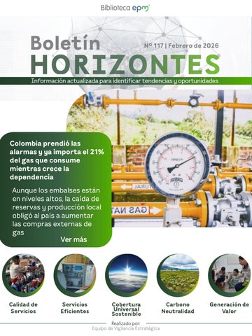 Boletín Horizontes N°117