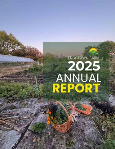 FF 2025 Annual Report