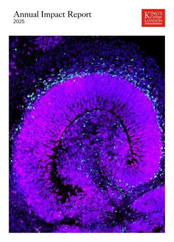 King's Annual Impact Report 2025