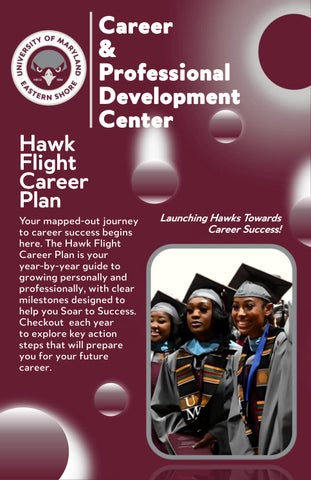 Hawk Flight Career Plan Yearly Milestones Booklet updated