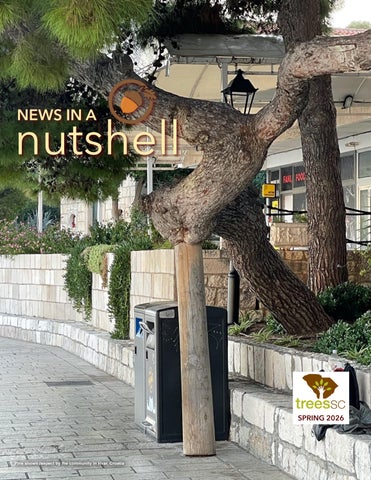 NewsInANutshell - SPRING 2026