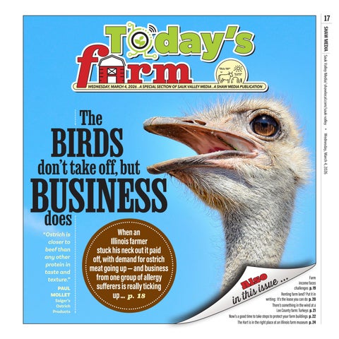 SVM_Today's Farm_030426