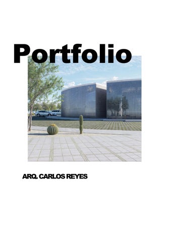 CARLOS REYES PORTAFOLIO