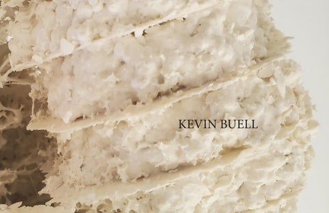 Kevin Buell-Portfolio