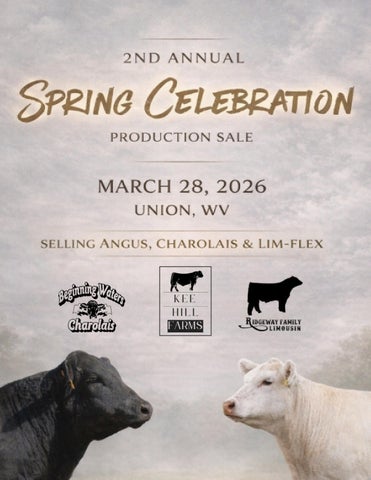 2026 Spring Celebration Sale