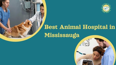 A Trusted Choice for Pet Healthcare