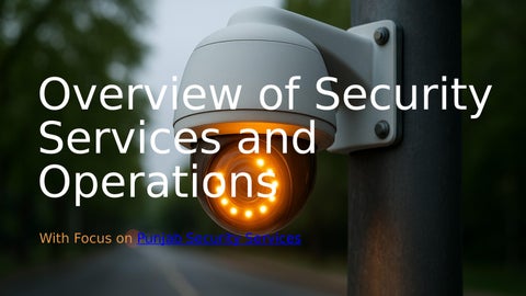 Punjab Security Services