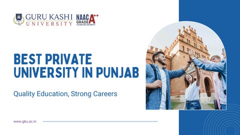 best private university in Punjab