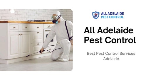 Flea Control Adelaide