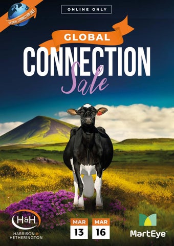 Global Connections 0326