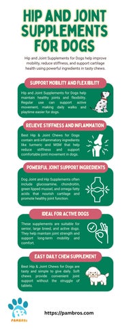Hip and Joint Supplements for Dogs – Mobility & Joint Health Support