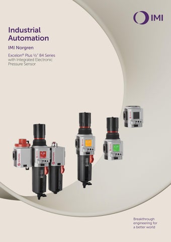 IEPS Brochure - English Version