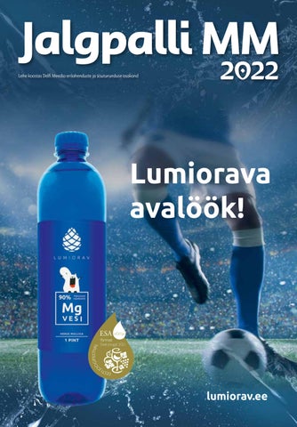 Jalgpalli MM (november 2022)