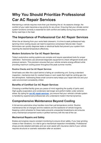 Why You Should Prioritize Professional Car AC Repair Services