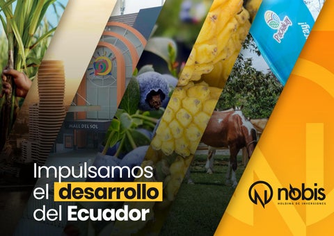 Brochure Nobis Holding de Inversiones