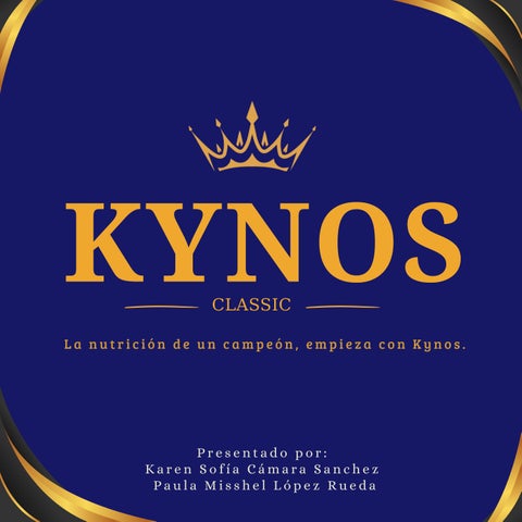 KYNOS - CLASSIC Producto croquetas para perro ASCO  _20260304_203101_0000 (1)