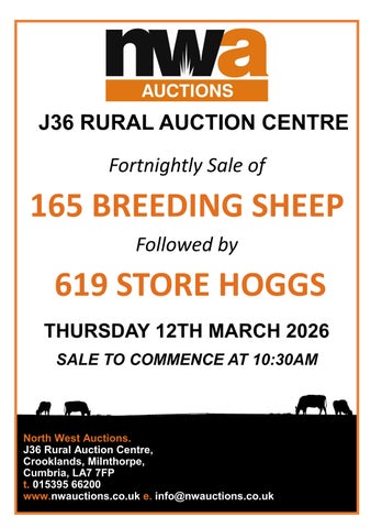 BREEDING SHEEP & STORE HOGGS 120326