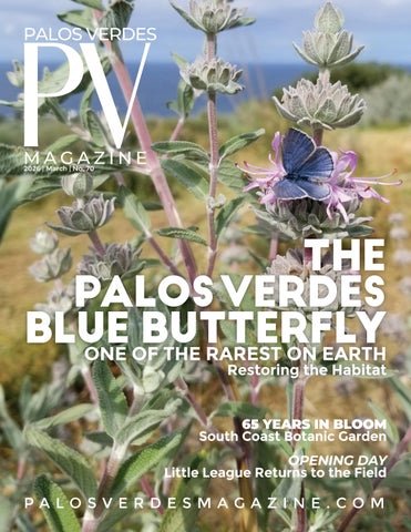 PV Magazine | Issue 70 | March