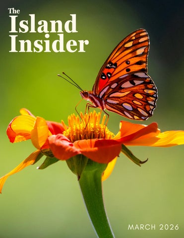 The Island Insider Vol 5: March 2026