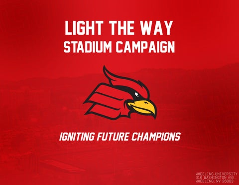 Light the Way Stadium Campaign