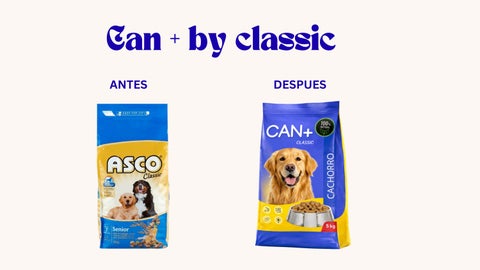 CAN+ CLASSIC