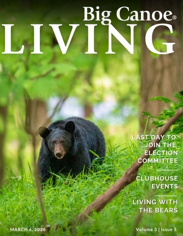 BigCanoeLiving_Vol3_Issue5 (8.5 x 11 in) (8)