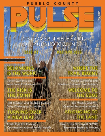 Pueblo County Pulse #3