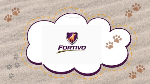 FORTIVO-comprimido
