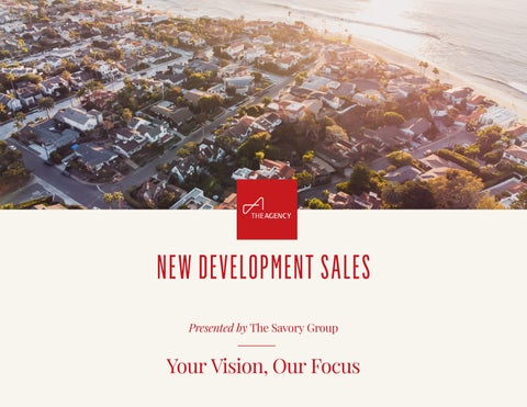 About The Agency Developer Services