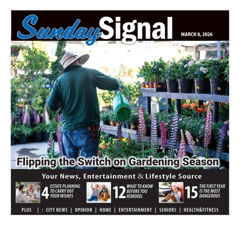 SundaySignal_030826