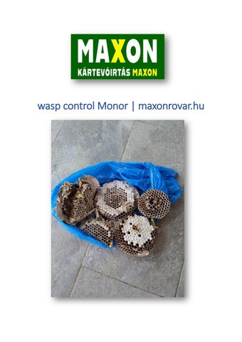 wasp control Monor | maxonrovar.hu