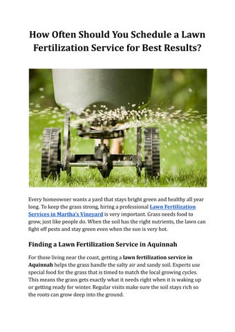 How Often Should You Schedule a Lawn Fertilization Service for Best Results
