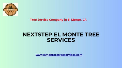 Tree Service Company El Monte