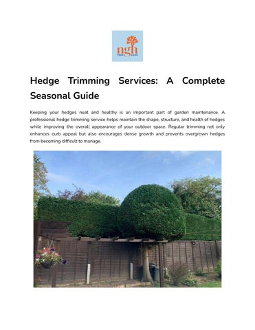Hedge Trimming Services: A Complete Seasonal Guide