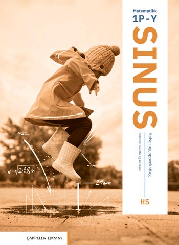 Sinus_HS_(2026)_utdrag_blaibok.