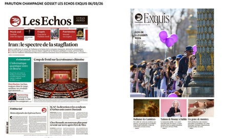 PARUTION GOSSET LES ECHOS EXQUIS 060326