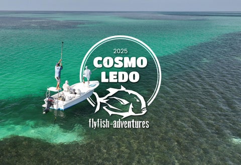 COSMOLEDO | Seychelles, February 2025 