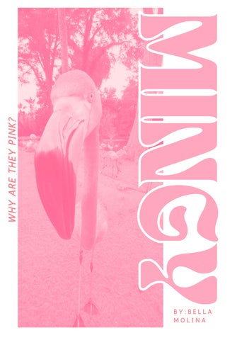 Denim Blue Pastel Pink Duotone Climate change Social Issues Zine