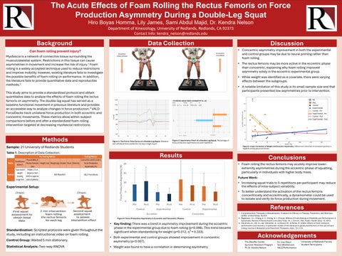 Kinesiology Summer 25 Research Project