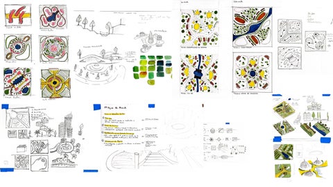 Evolución Parcela 100x100