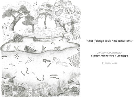 Caroline Moisa Graduate Portfolio 