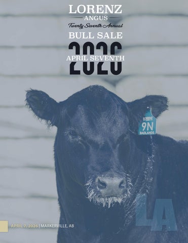 Lorenz Angus 27th Annual Bull Sale 2026