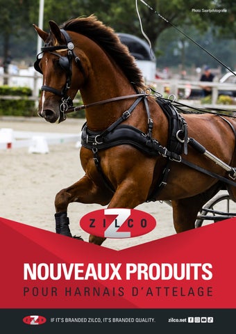 Zilco Nouveaux Produits Pour Harnais D'Attelage