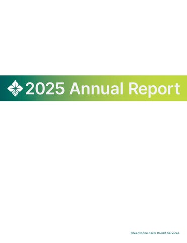 GS_Annual Report_2025