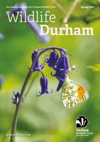 Wildlife Durham: Spring 2026