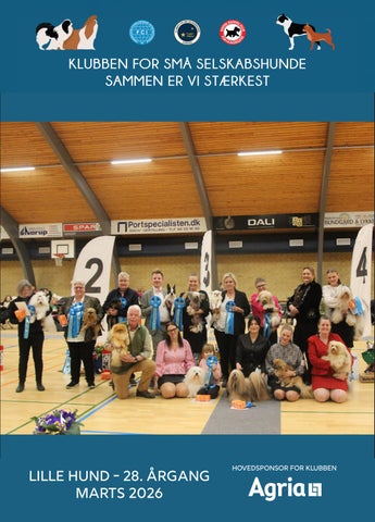 Lille Hund nr. 1 Marts 2026