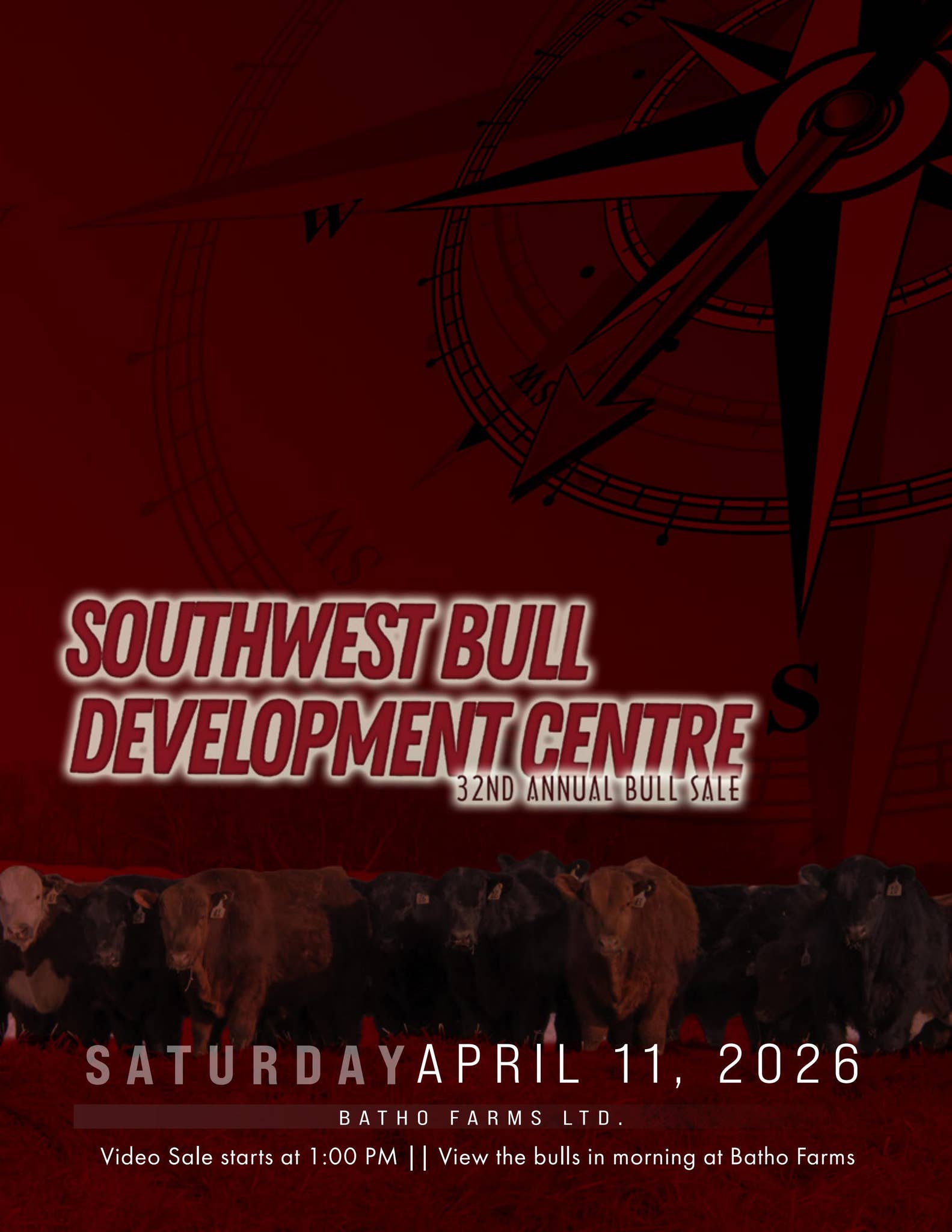 Southwest Bull Development Center 32nd Annual Bull Sale by Today's ...