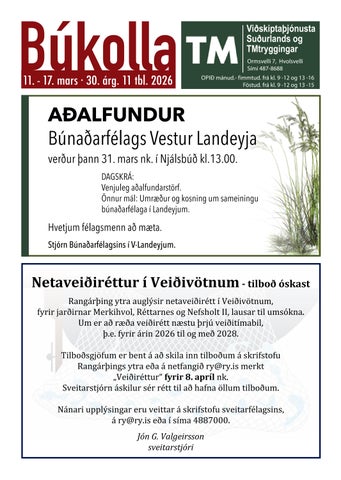 Búkolla 11.–17. mars 2026