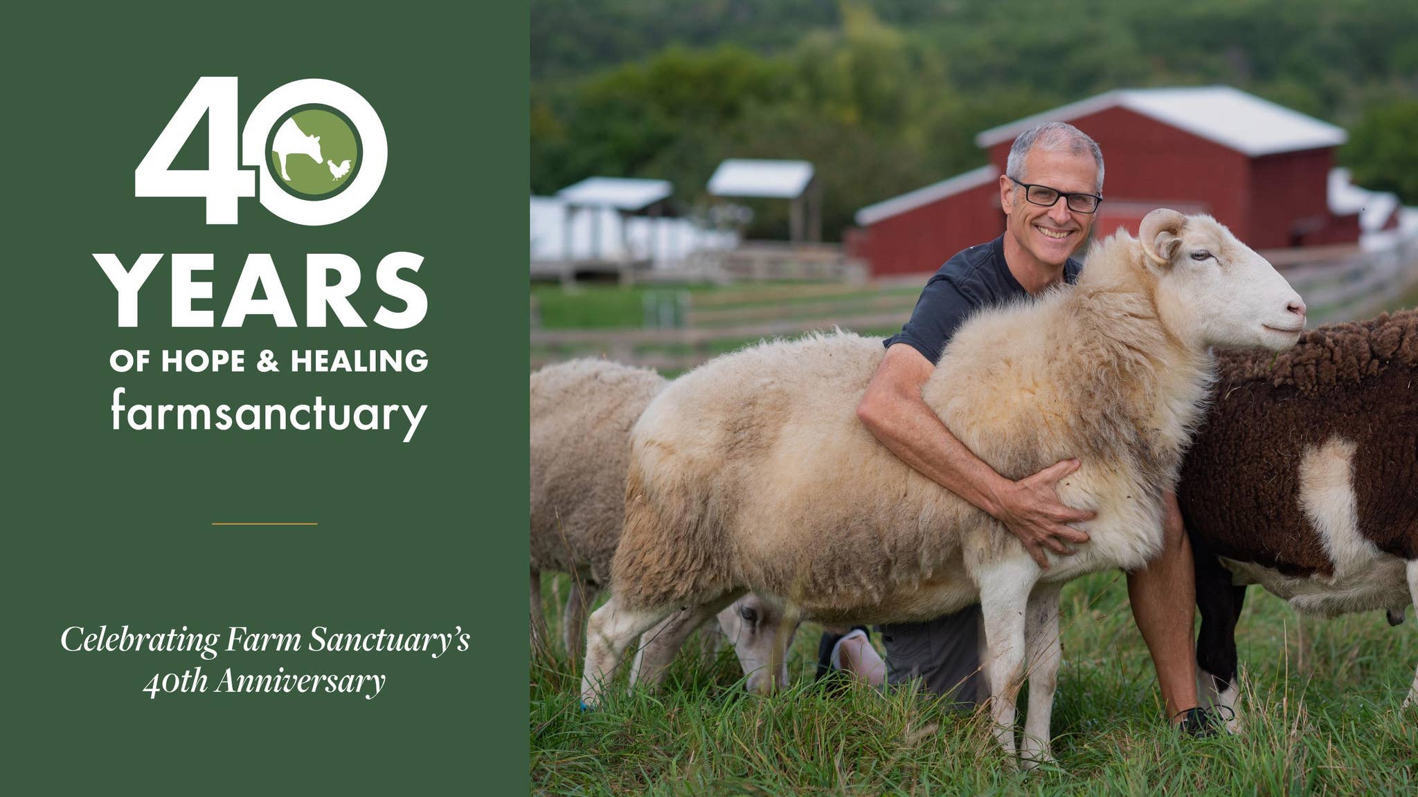 40th Anniversary Campaign - Farm Sanctuary by Farm Sanctuary - Issuu